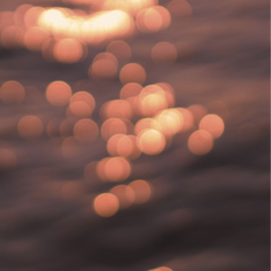 三级黄片儿下载黄片儿
