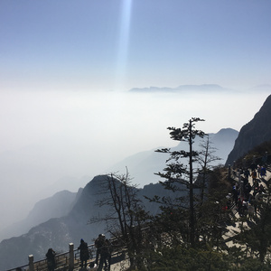 三级黄片儿下载黄片儿
