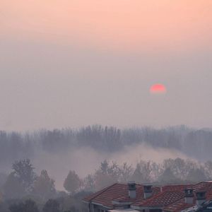 三级黄片儿下载黄片儿
